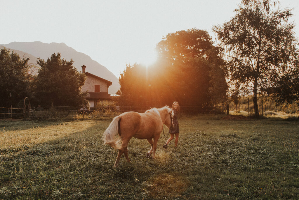 Servizio foto cavallo al tramonto